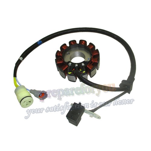 Statore magnetico bobine - magnetico, 12