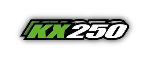 Kawasaki kx250 swingarm - kx250,